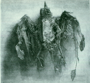 Etching titled Still Life by Igor Makarevich